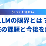 LLM 限界