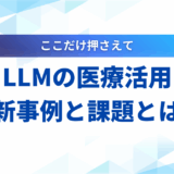 LLM 医療